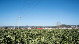 Los agricultores de Viladecans aprovechan la Fira de Sant Isidre para exigir inversiones: "Que los hechos nos callen"