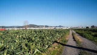 Los agricultores del Baix Llobregat alertan sobre la ampliación del Aeropuerto de Barcelona: "No podemos ser moneda de cambio"