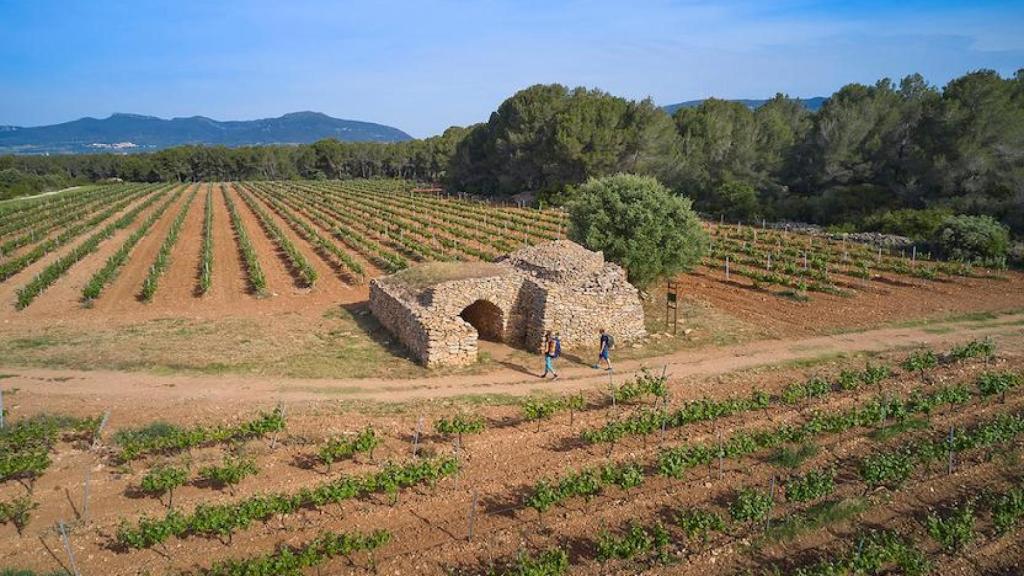 Imagen de al ruta Camí de les Terres del Riu Gaià