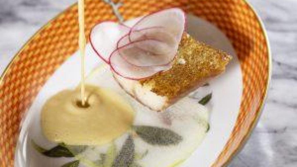 Plato de Caelis