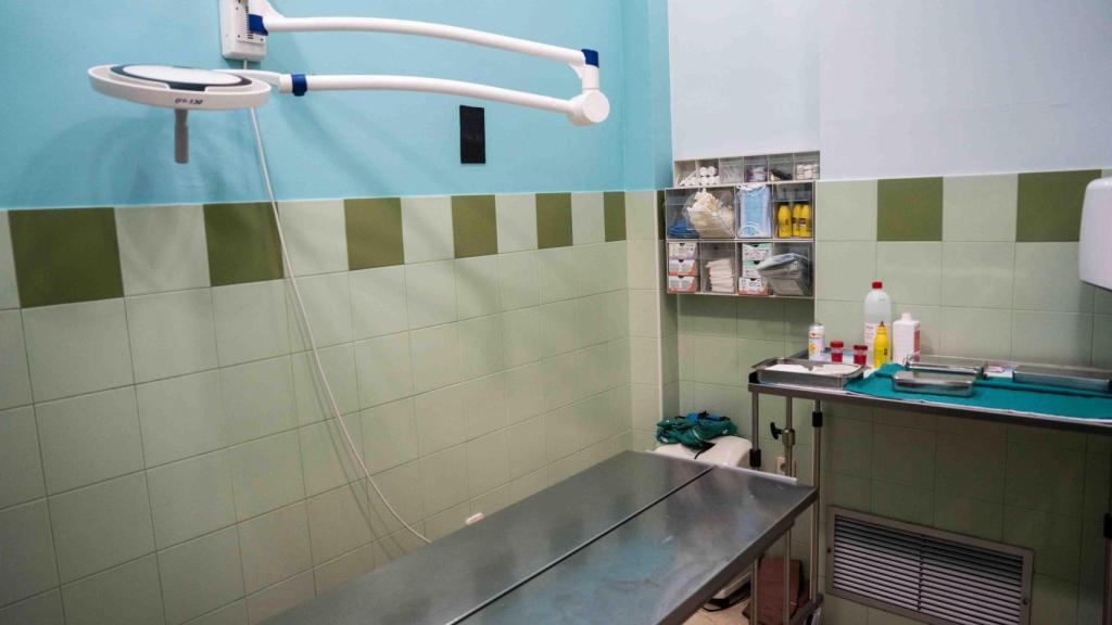 La clínica veterinaria de Ruth Fargas, en Sant Adrià