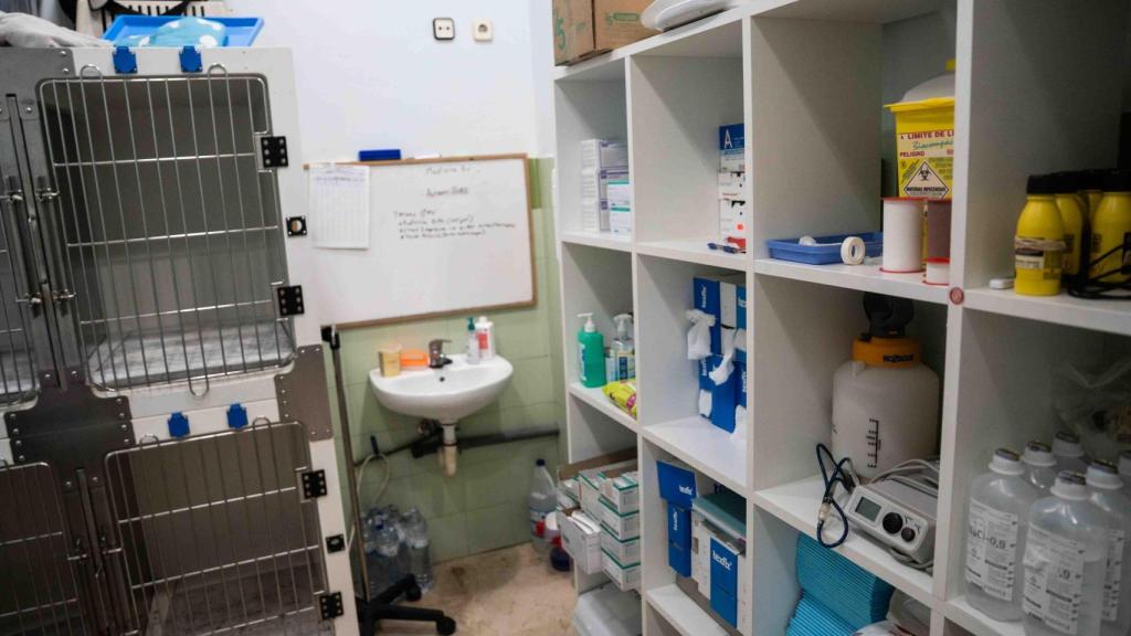 La clínica veterinaria de Ruth Fargas, en Sant Adrià