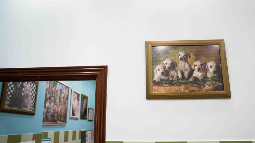 La clínica veterinaria de Ruth Fargas, en Sant Adrià