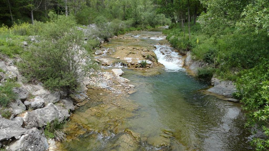 Riu Aigua de Valls