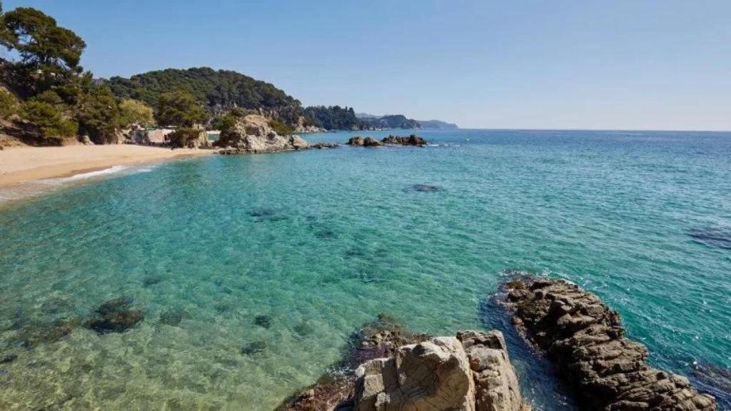 Cala Treumal
