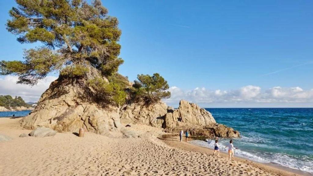 Cala Treumal