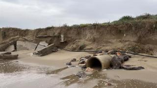 Jaume Grau, ecologista: “Es inevitable que el Delta del Llobregat acabe desapareciendo”