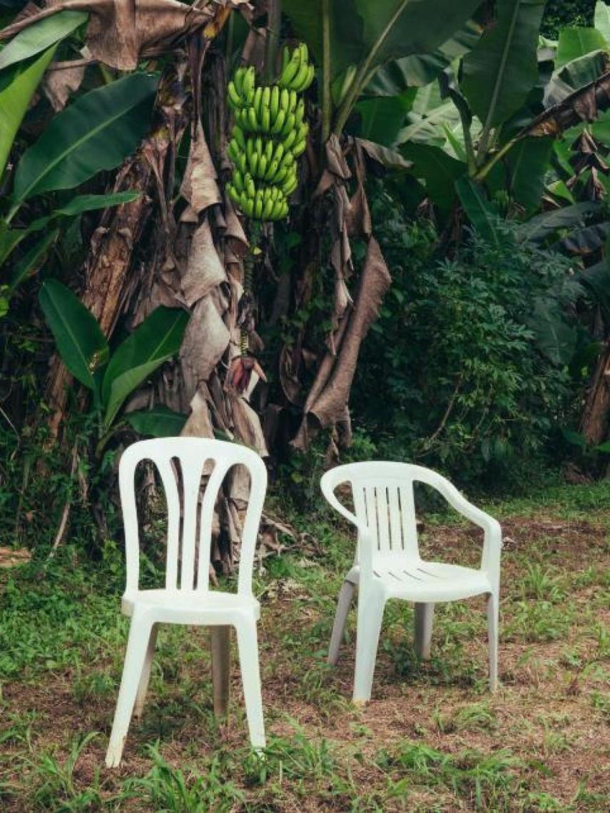Portada del álbum 'DeBÍ TiRAR MáS FOToS' de Bad Bunny