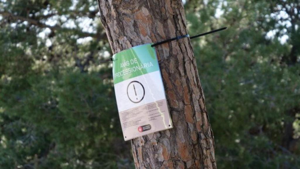 Carteles de aviso de presencia de procesionaria del pino en Barcelona