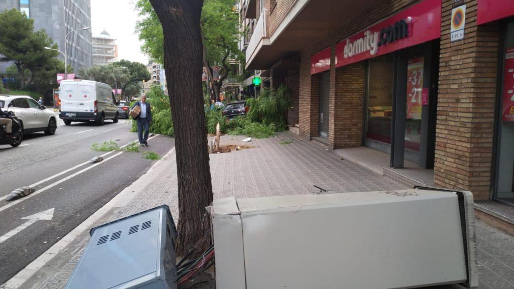 Un coche ha derribado un árbol y un semáforo tras salirse del carril bici en Via Augusta