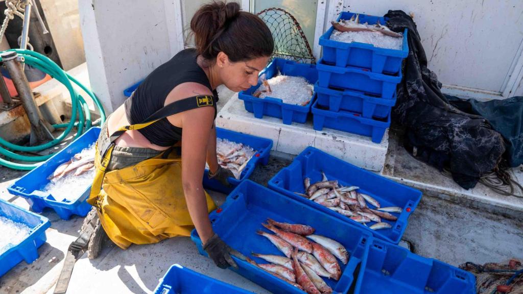 Alba separando el salmonete para después llevarlo a la lonja