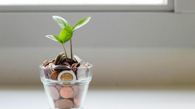 Bote con monedas del que surge una planta