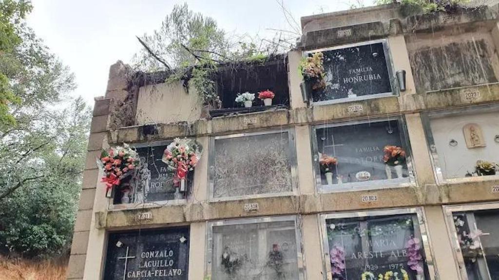 Estado de los nichos del cementerio de Collserola de Barcelona