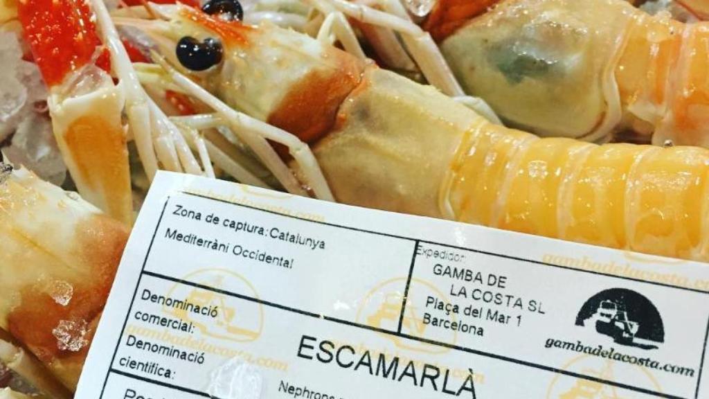 Imagen de archivo del restaurante de La Lonja en Barcelona