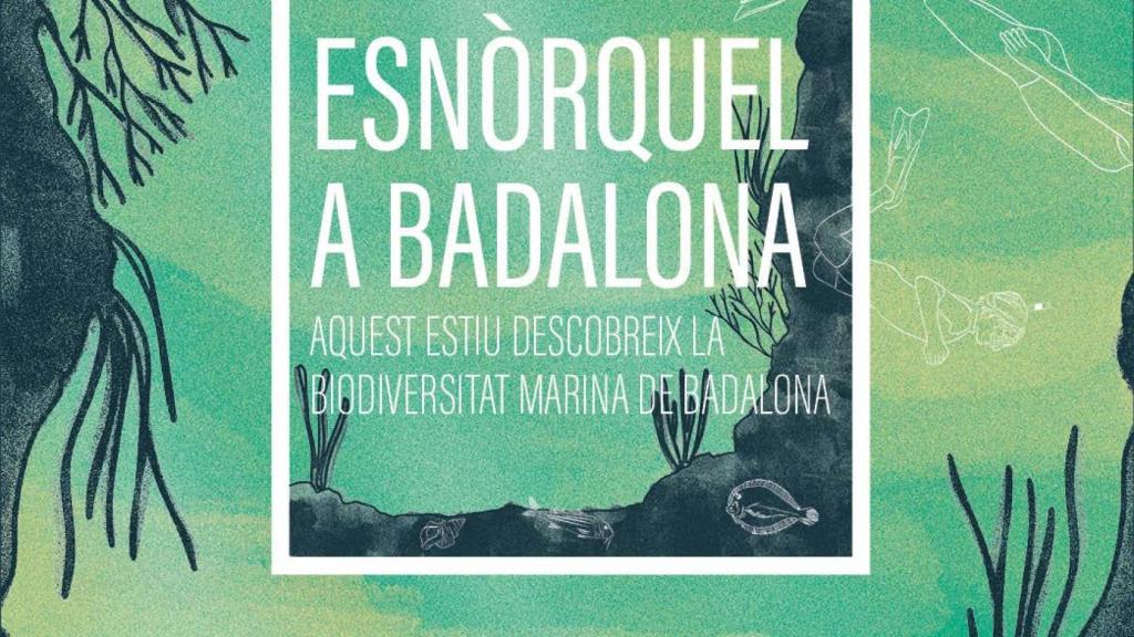 Promoción del esnórquel gratuito en Badalona