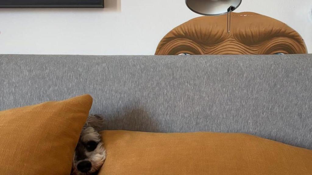 Interior de la casa de Marc Giró en el Eixample de Barcelona