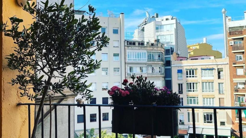 Terraza de la casa de Marc Giró en el Eixample de Barcelona