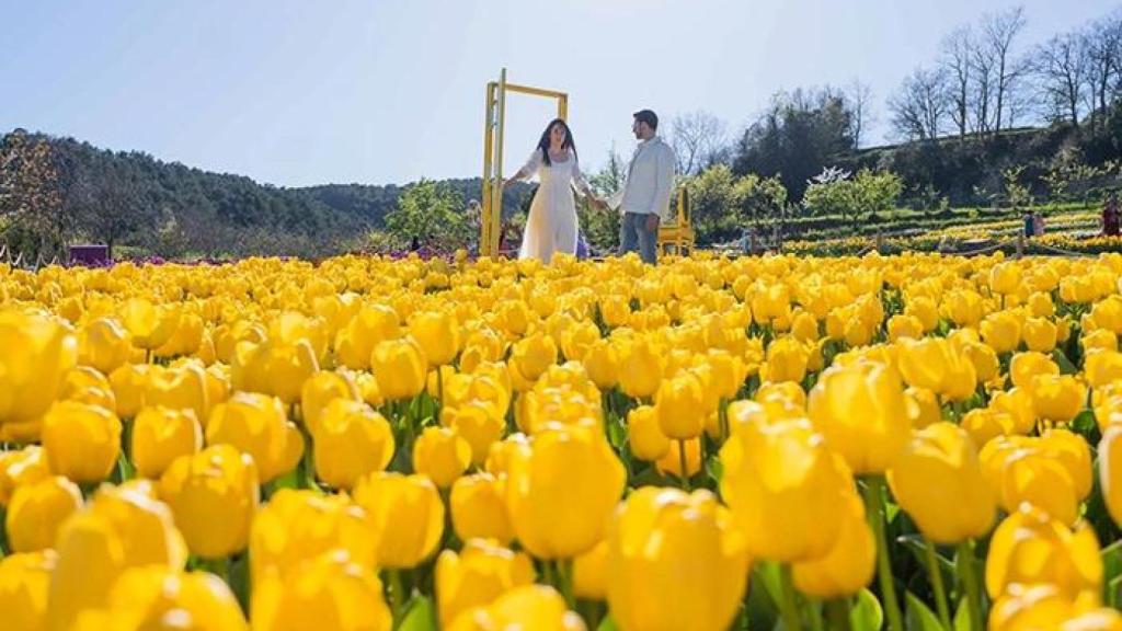 Visitants a Niudàlia